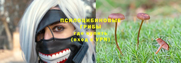 СК Сатка