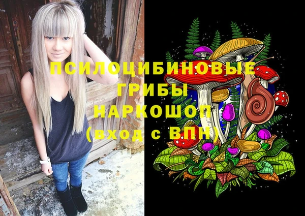 ГАЛЛЮЦИНОГЕННЫЕ ГРИБЫ Абдулино